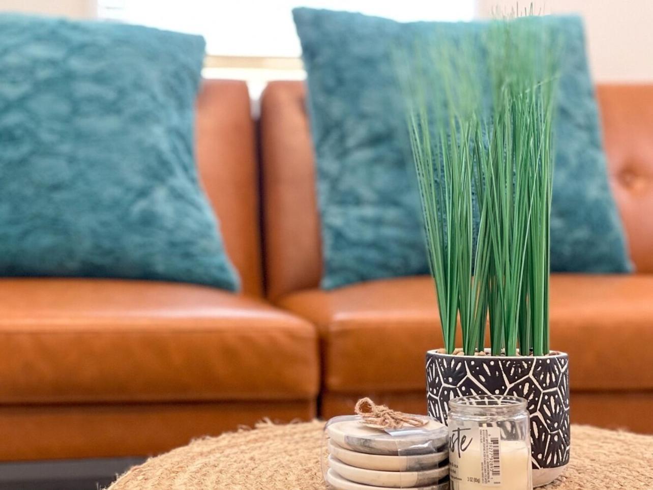 Homey Cozy Newly Renovated Stylish&Chic 7 Guests Tampa Ngoại thất bức ảnh