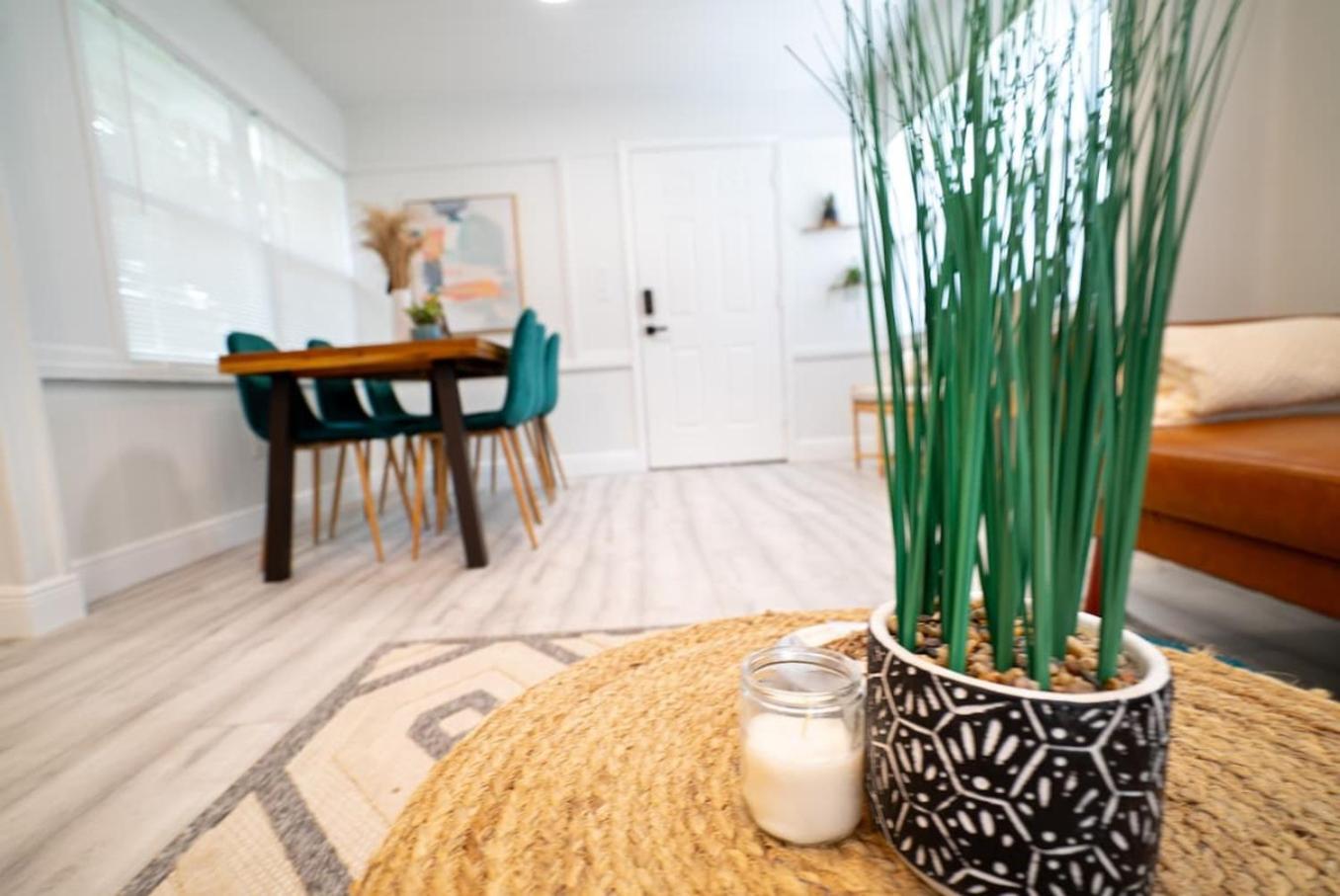 Homey Cozy Newly Renovated Stylish&Chic 7 Guests Tampa Ngoại thất bức ảnh